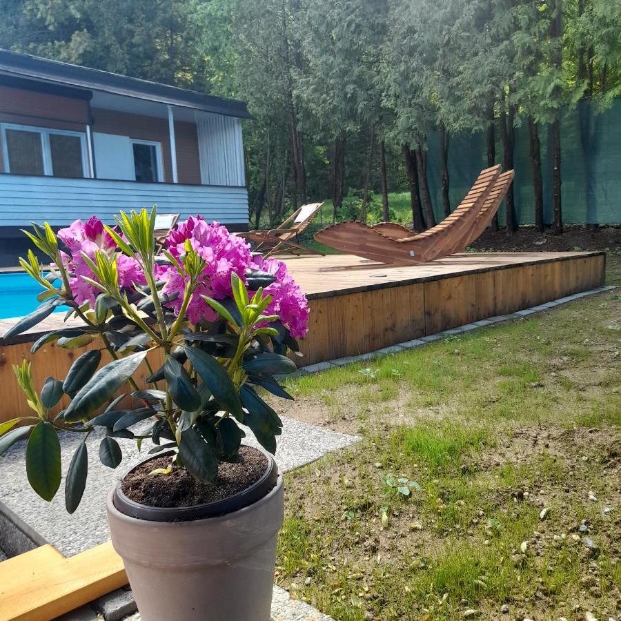 Bungalows Sonnenblume Am Klopeiner See Sankt Kanzian am Klopeiner See Eksteriør bilde