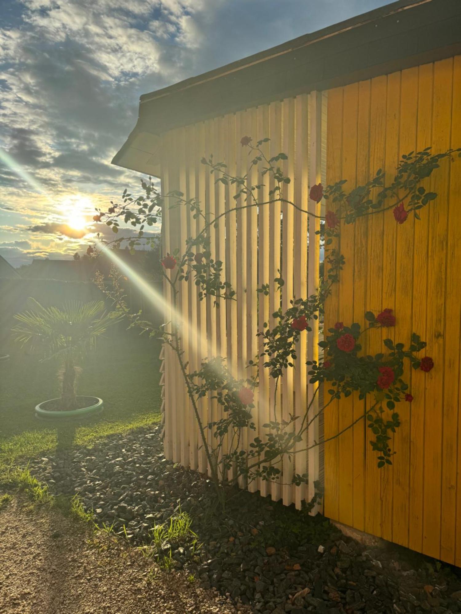 Bungalows Sonnenblume Am Klopeiner See Sankt Kanzian am Klopeiner See Eksteriør bilde
